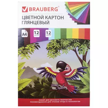 картон цветной BRAUBERG Килиманджаро А4 12л 12цв в папке