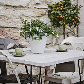 кашпо Re-Pot Hoop Round Self Watering 1,6л d16см h15см белый пластик