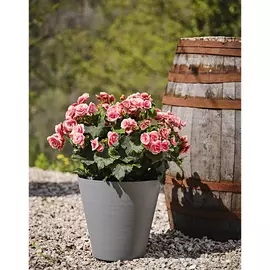 кашпо Re-Pot Hoop Round Self Watering 1,6л d16см h15см серый пластик