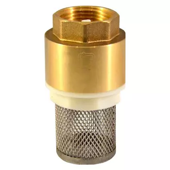 клапан обратный с сетчатым фильтром CTM 1"