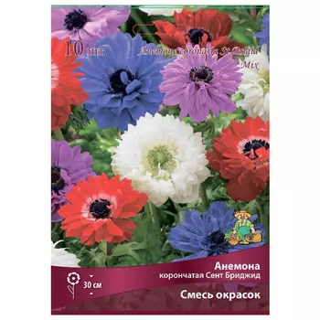 корни растений анемона корончатая Сент Бриджид Смесь окрасок 10 шт. 4/5