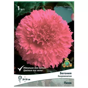 клубни растений Бегония бахромчатая Пинк ПОИСК 1шт