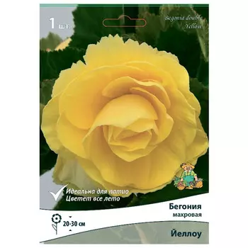 клубни растений Бегония махровая Йеллоу ПОИСК 1шт
