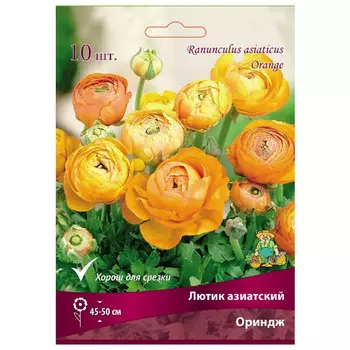 клубни растений Лютик азиатский Ориндж в капере ПОИСК 10шт