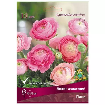 клубни растений Лютик азиатский Пинк в капере ПОИСК 10шт