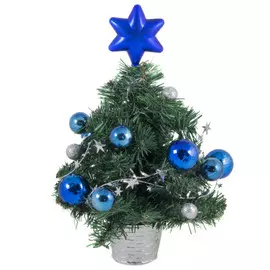 композиция в кашпо Ель Синяя звезда 30см