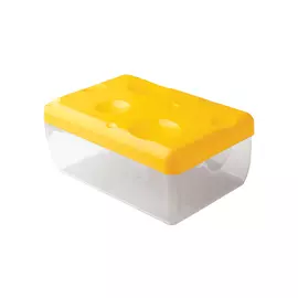 контейнер для сыра БЫТПЛАСТ, 16х11х7 см, пластик