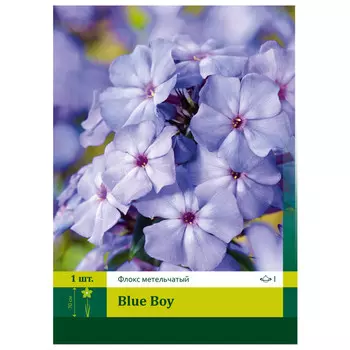 корень Флокс Блу Бой ПЕТРОФЛОРА 1шт