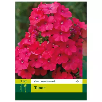 корень Флокс Тенор ПЕТРОФЛОРА 1шт