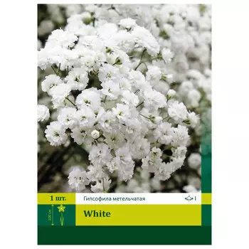 корень Гипсофила Белая ПЕТРОФЛОРА 1шт