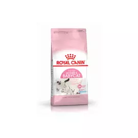корм для кошек ROYAL CANIN 2кг для котят от 1-4мес. и беременных/кормящих кошек