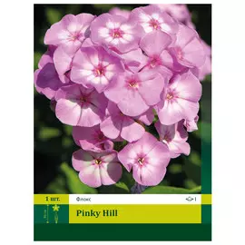 корни Флокс Пинки Хилл 1шт I