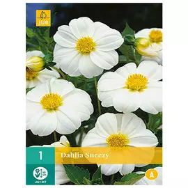 корни Георгин Снези миньон 1шт l