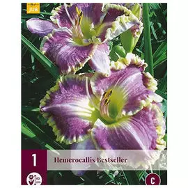 корни Хемерокалис бестселлер 1шт I