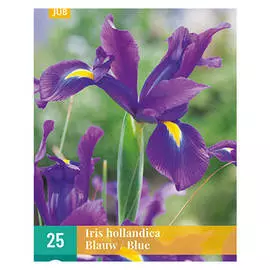 корни Ирис голландский голубой 25шт 7/8
