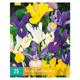корни Ирис голландский смесь 25шт 7/8