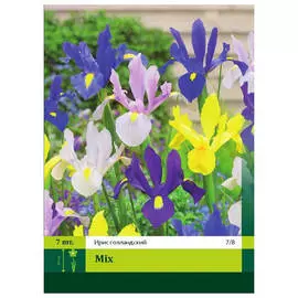 корни Ирис голландский смесь 7шт 7/8