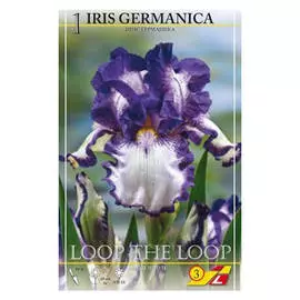 корни Ирис Луп те Луп германика 1шт l