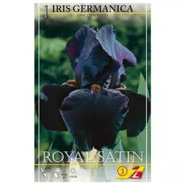 корни Ирис Роял Сатин германика 1шт l