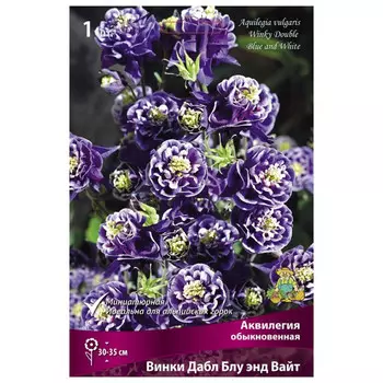 корни растений Аквилегия обыкновенная Винки Дабл Блу энд Вайт ПОИСК 1шт
