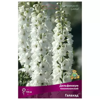 корни растений Дельфиниум тихоокеанский Галахад ПОИСК 1шт