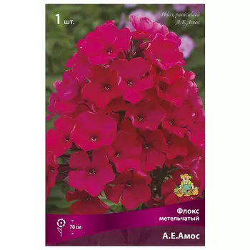 корни растений Флокс метельчатый А. Е.Амос ПОИСК 1шт