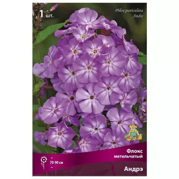 корни растений Флокс метельчатый Андрэ ПОИСК 1шт