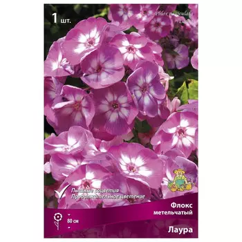 корни растений Флокс метельчатый Лаура ПОИСК 1шт