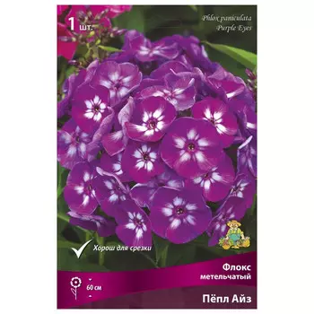 корни растений Флокс метельчатый Пепл Айз ПОИСК 1шт