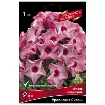 корни растений Флокс метельчатый Уральские Сказы ПОИСК 1шт