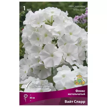 корни растений Флокс метельчатый Вайт Спарр ПОИСК 1шт