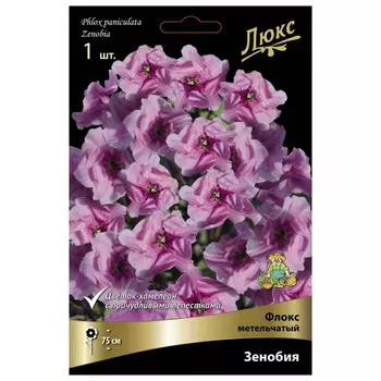 корни растений Флокс метельчатый Зенобия ПОИСК 1шт