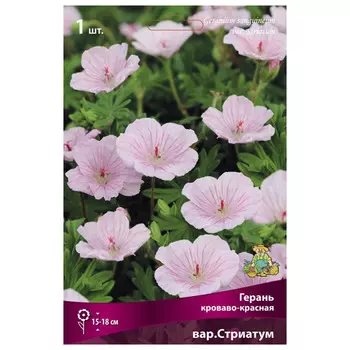корни растений Герань кроваво-красная Стриатум ПОИСК 1шт