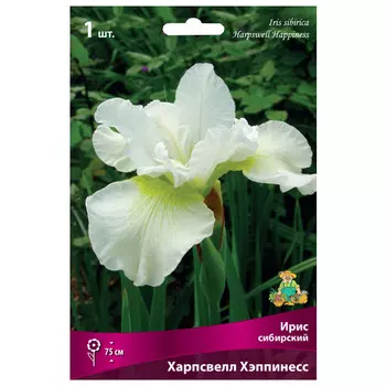 корни растений Ирис сибирский Харпсвелл Хэппинесс ПОИСК 1шт