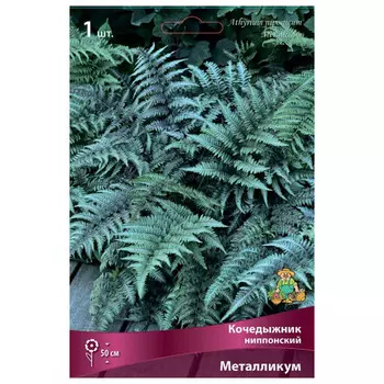 корни растений Кочедыжник ниппонский Металликум ПОИСК 1шт