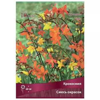 корни растений Крокосмия смесь окрасок ПОИСК 10шт