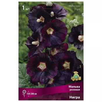 корни растений Мальва розовая Нигра ПОИСК 1шт