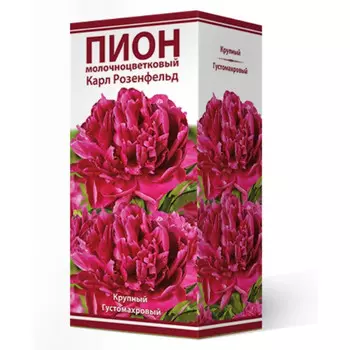 корни растений Пион молочноцветковый Карл Розенфельд ПОИСК 1шт