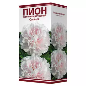 корни растений Пион молочноцветковый Соланж серия Классик ПОИСК 1шт