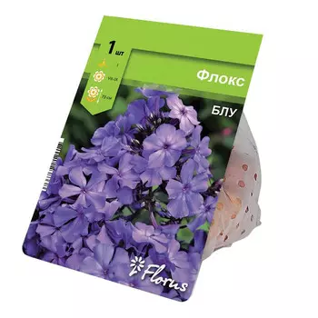 корнивище Флокс Блу 1шт