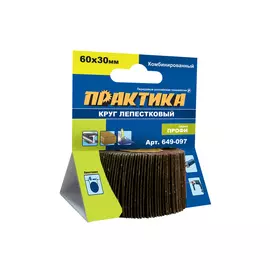 круг лепестковый ПРАКТИКА, с оправкой, 60х30 мм, комбинированный