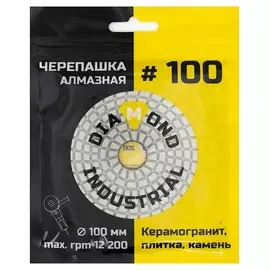 круг шлифовальный алмазный Diamond Industrial 100мм #100