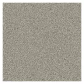 линолеум Premium Nevada 2 9001 3м 2мм/0,7мм