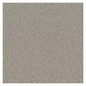 линолеум PROFI Premium Nevada 2 9001 4м 2мм/0,7мм