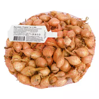 лук-севок Cтурон 0,5кг 21/24