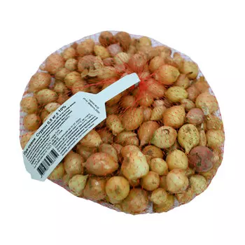 лук-севок Cтурон 8/21 0,5кг