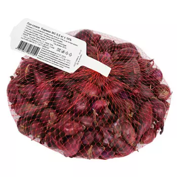 лук-севок Кармен МС красный ПОИСК 0,5кг