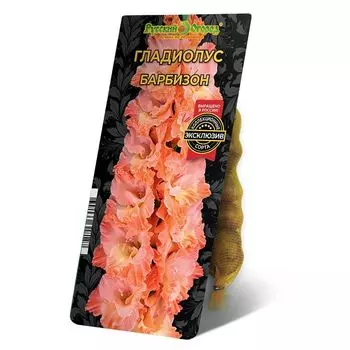 луковица Гладиолус Барбизон 8/12 5шт