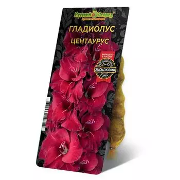 луковица Гладиолус Центаурус 8/12 5шт