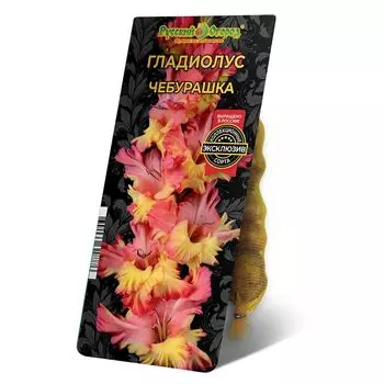 луковица Гладиолус Чебурашка 8/12 5шт
